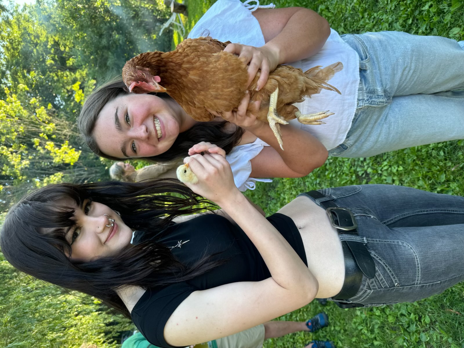 Friends on the farm